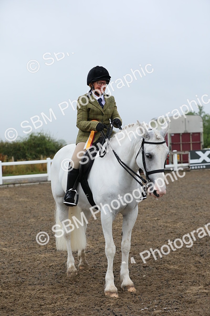 SBM_20381 - Class 803 - Ridden Combination 65+