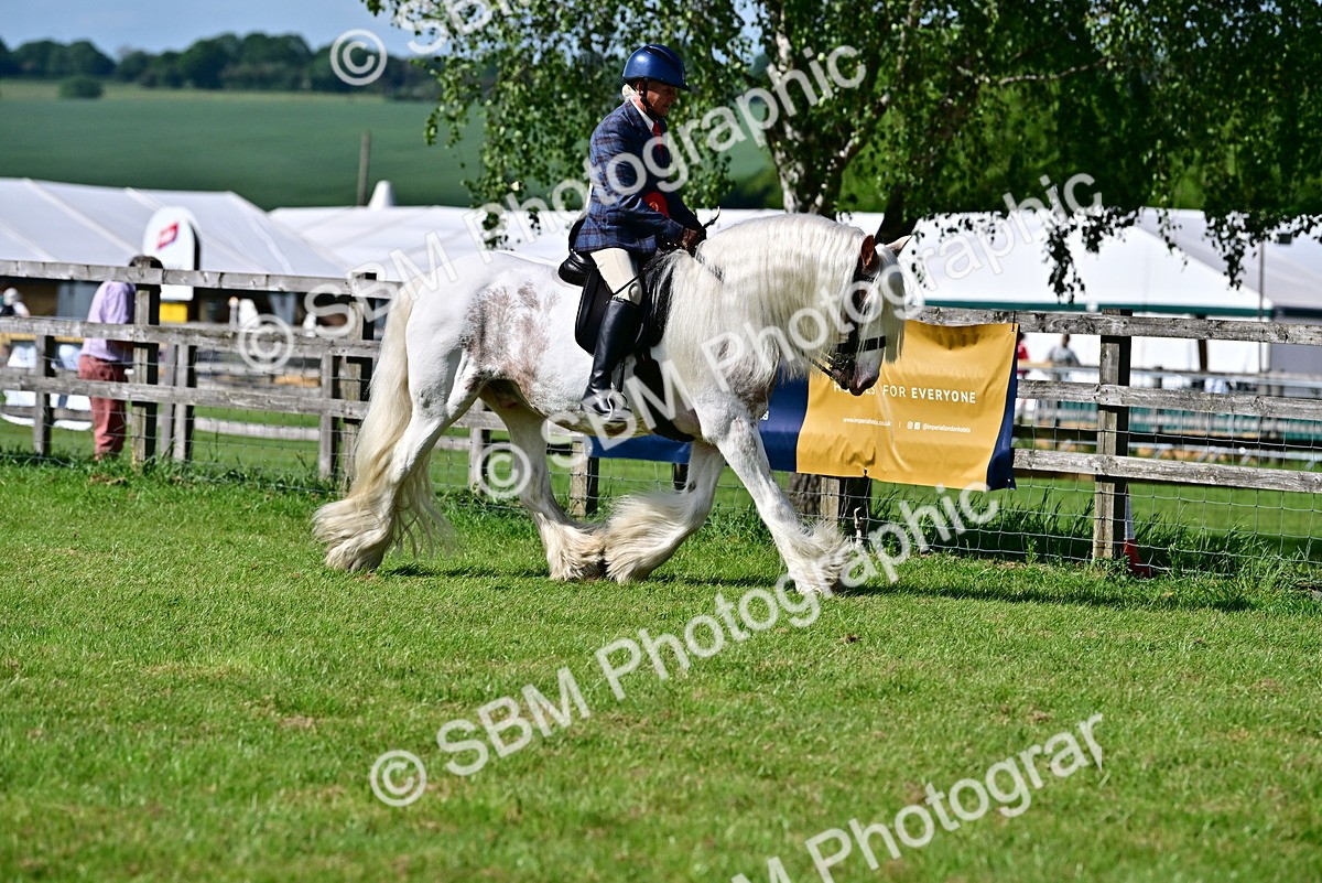 SBM_09469 - Class 63-65 - Traditional Gypsy Cobs In Hand & Ridden