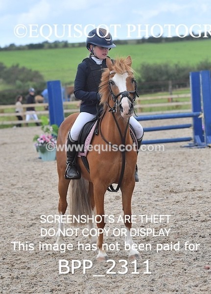 BPP_2311 - DERBY CLASS 6 - 70CM