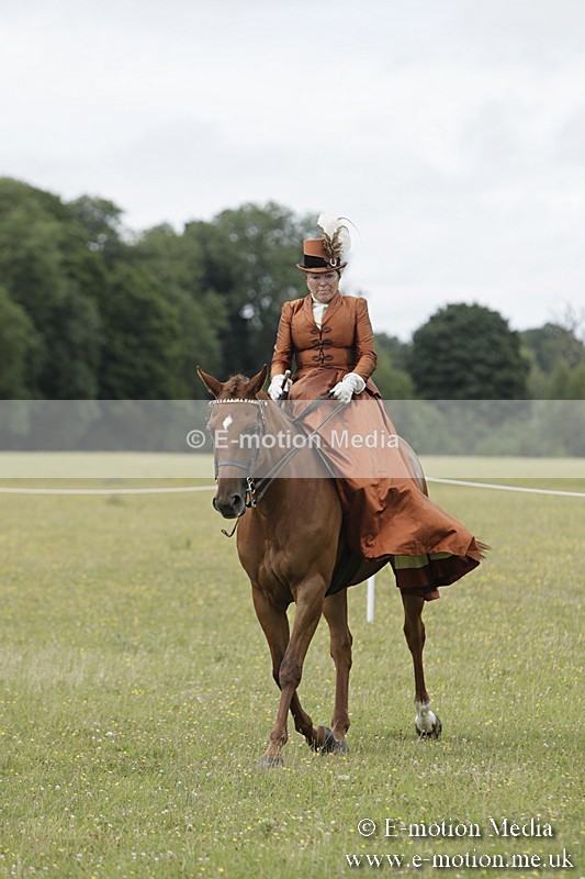 BVR160717-2448 - Side Saddle Classes 16/07/17
