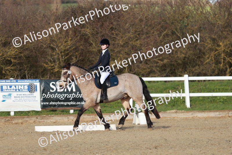 20260314-5373 - DR4 - Prelim 2