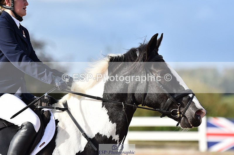 231014A-110110-03957 - Cls 13 85cm Amateur Q 2nd R