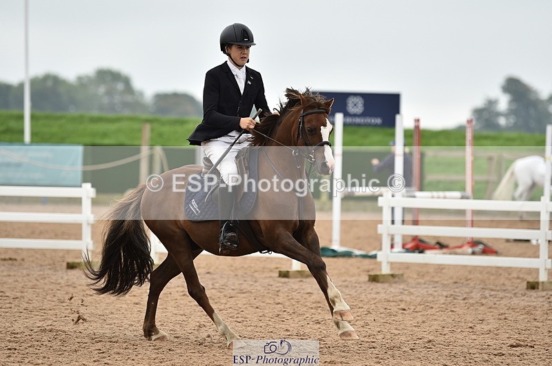 230902A-113900-00783 - Cls 2B Pony Small 80cm