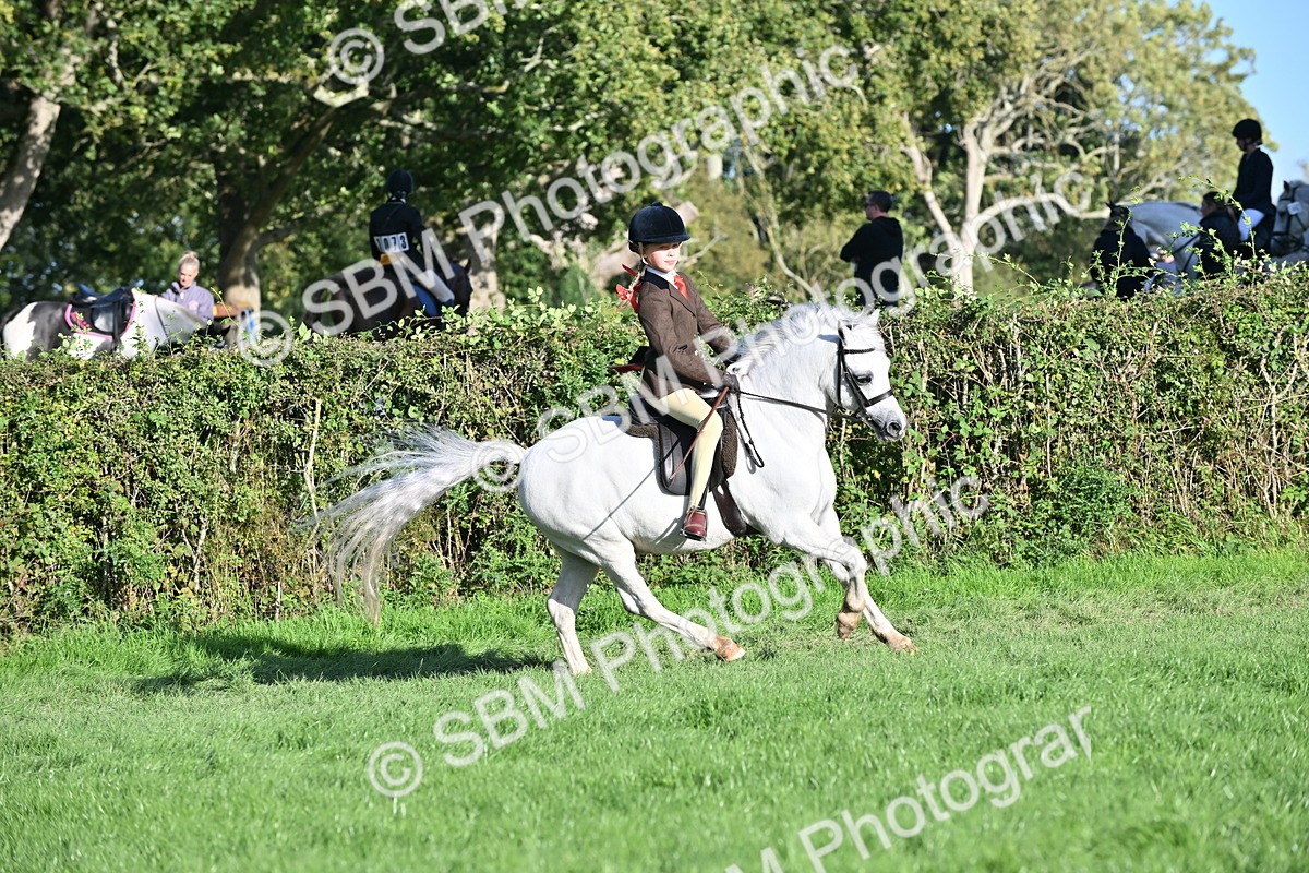 SBM_53011 - S23 - First Ridden Mountain & Moorland Pony