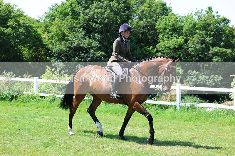 3E7A7502 - Class 31: Working Hunter Cob/Riding Horse