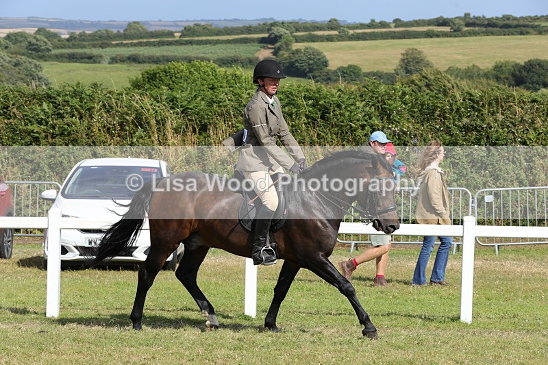 1X9A5870 - Class 41:. NPS New Forest & Connemara