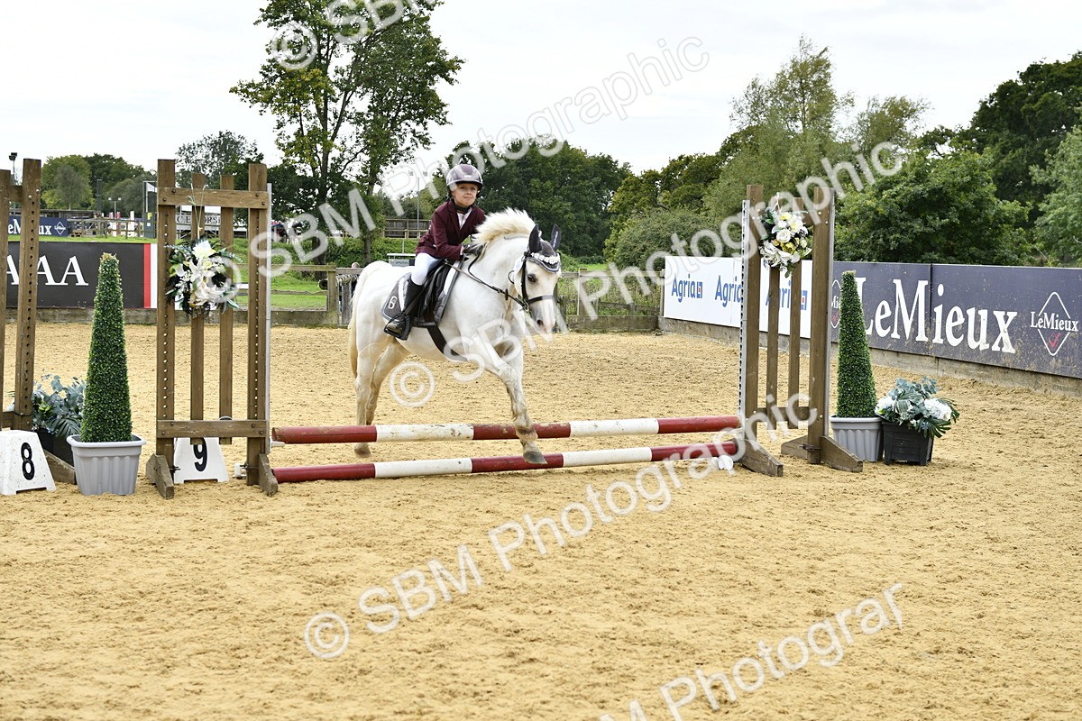 SBM_65541 - J2a mini Tour Junior Pony 30cm Championship