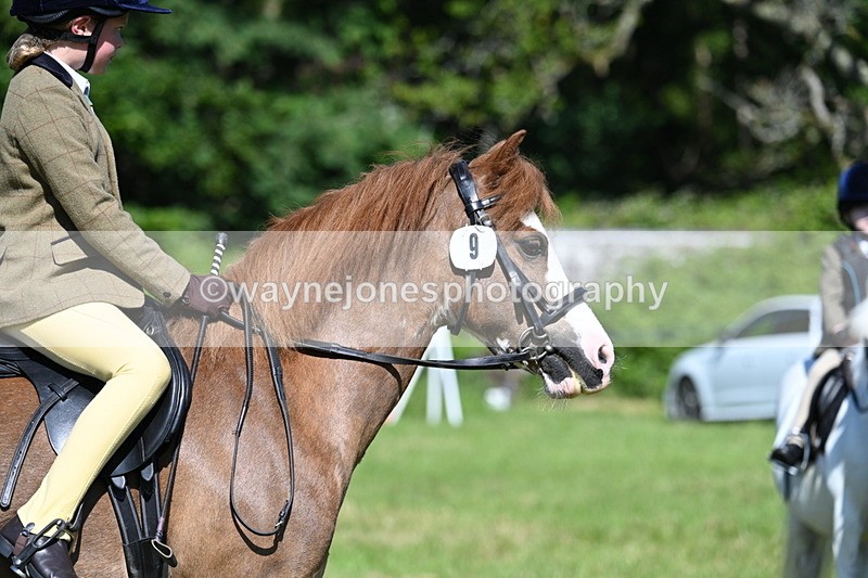 WJ7_0492 - Class 8 First Rally Pony