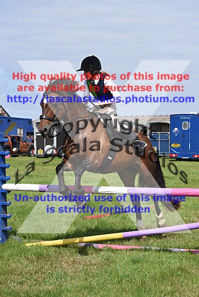 SNCP_0006 - A Group
