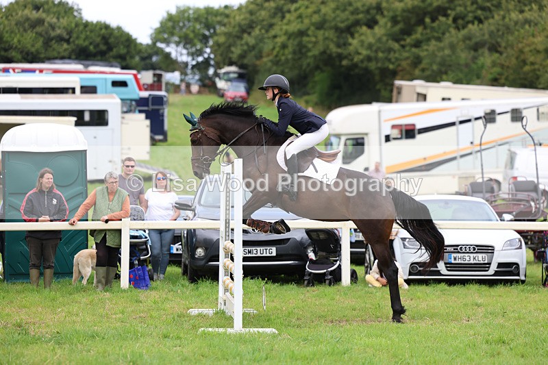 3E7A7015 - Class 5: Senior British Novice/90cm open