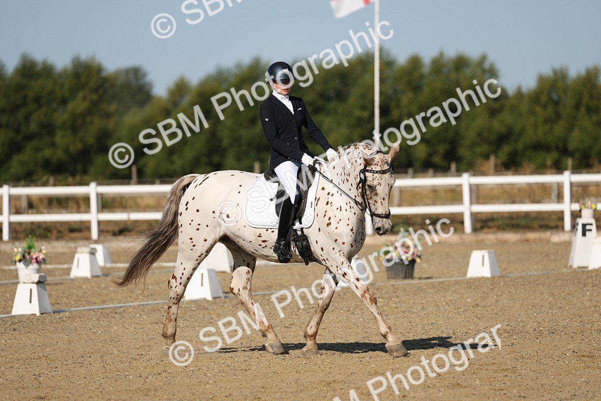 SBM_012667 - Class 1 - P5 Bronze 9.00.10.12