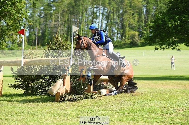 230527-102546-08554 - 255-HI_MR_HENRY-Henry_Hobby-XC