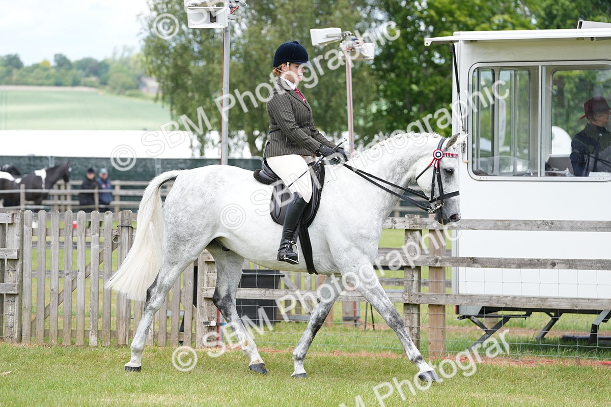 SBM_16148 - Class 105-106 - RIHS Riding Horses