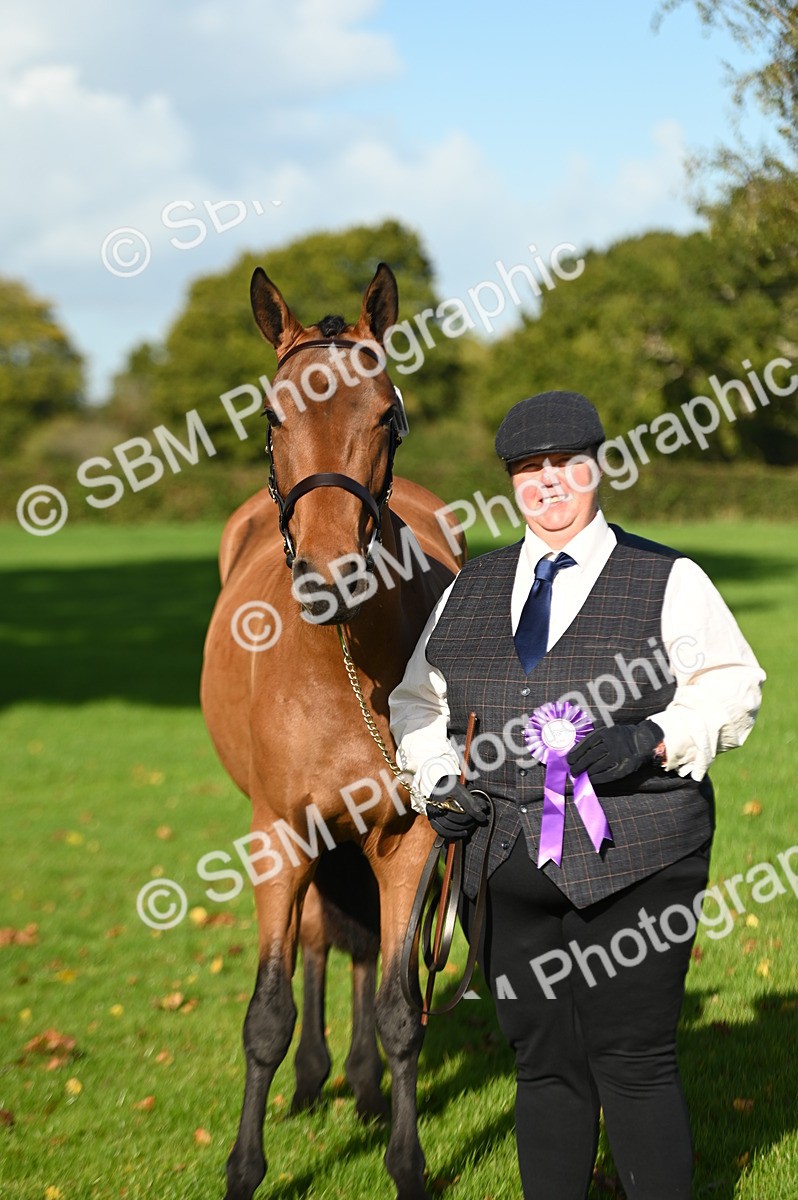 SBM_15810 - S1 - TSR in Hand Horse & Pony Showing
