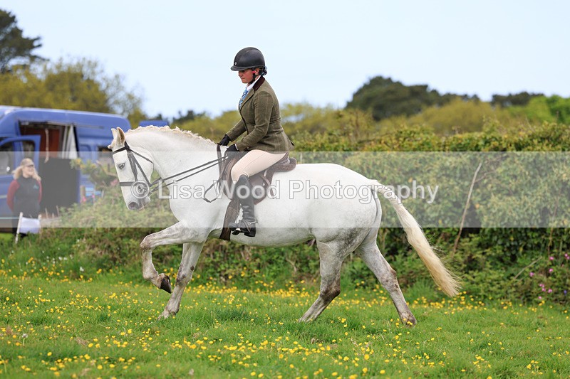 3E7A1186 - Class 7: Ridden Hunter Type