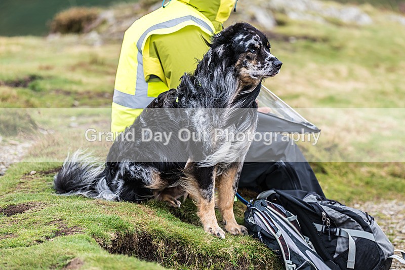 Barrow-63 - Barrow Fell Race Monday 31st August 2026