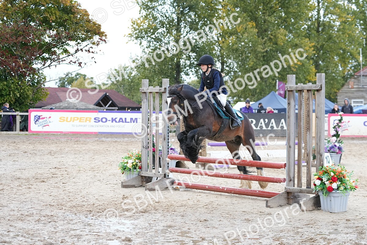 SBM_39641 - J6 - Junior Pony 55cm Championship