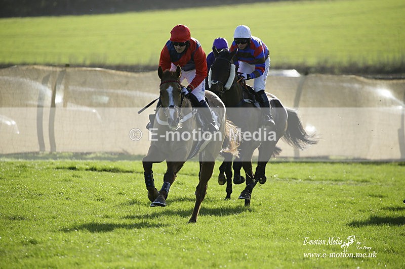 PtP 300122 91 - South Dorset Hunt - Point-to-Point Races 30/01/2022