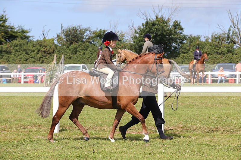 1X9A3835 - Plaited Mini Ridden Championship