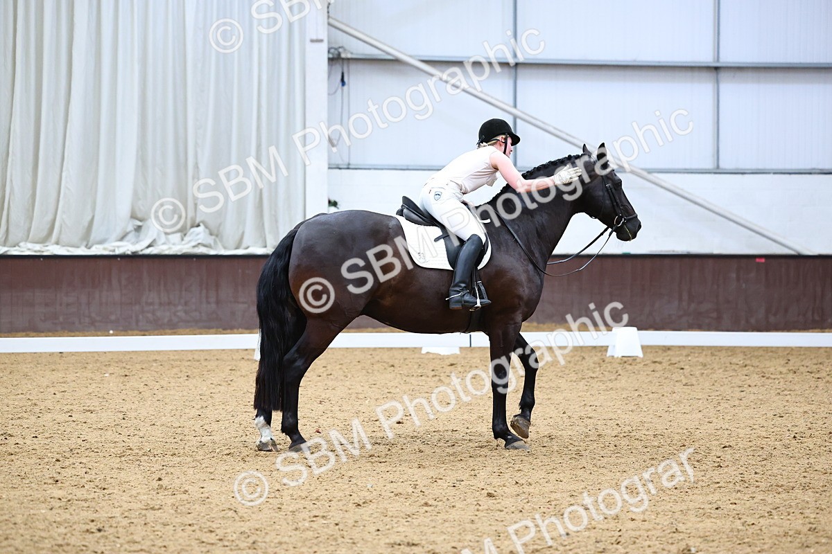 SBM_005556 - Elementary 2