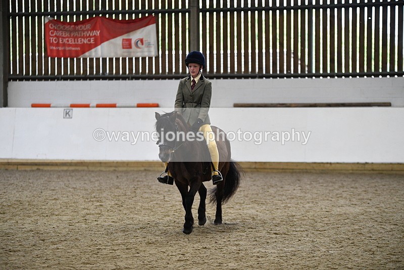 WJ5_6907 - Class 10 Childs Pony