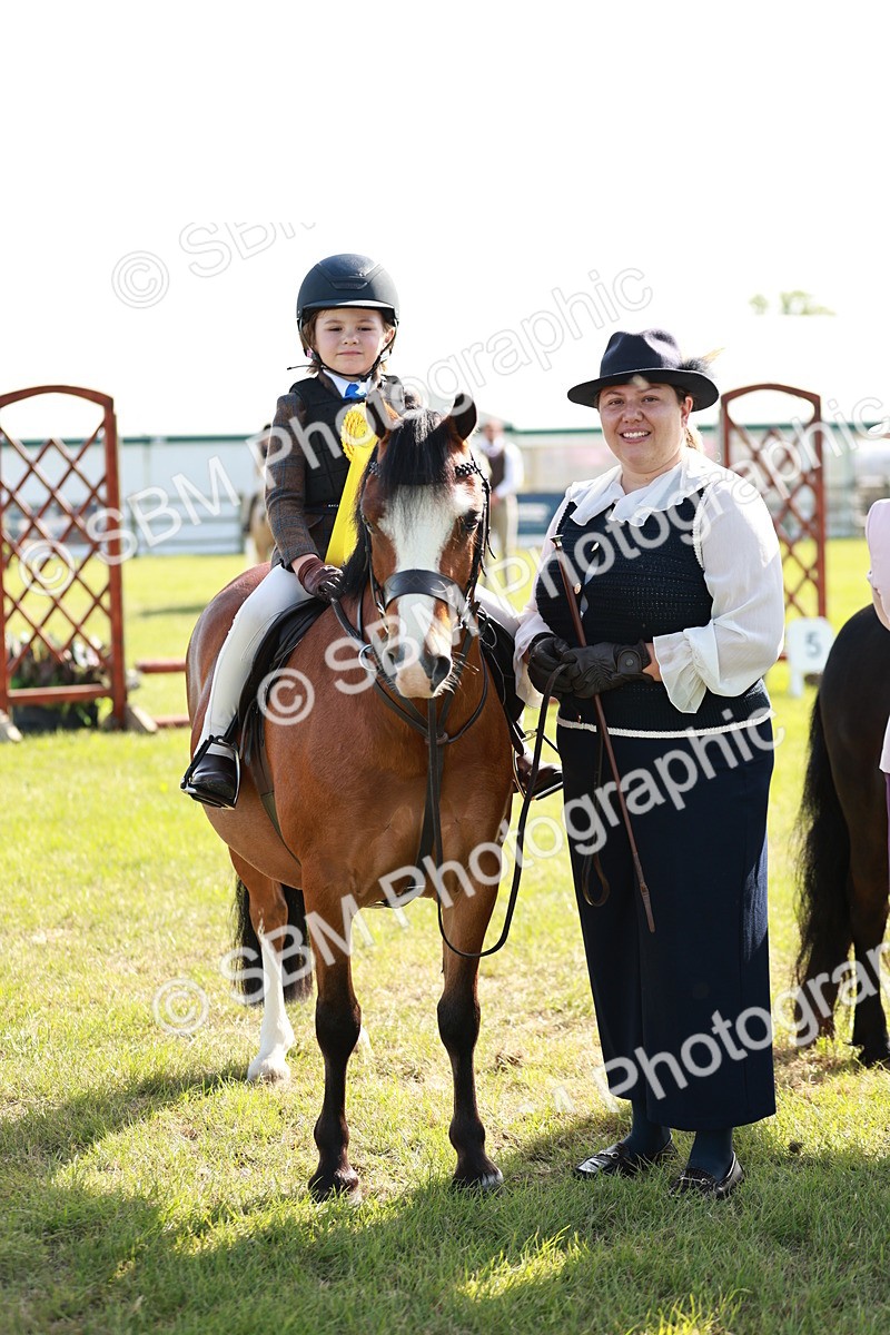 SBM_11310 - Class 106-107 - BSPS LIHS Working Sports Pony