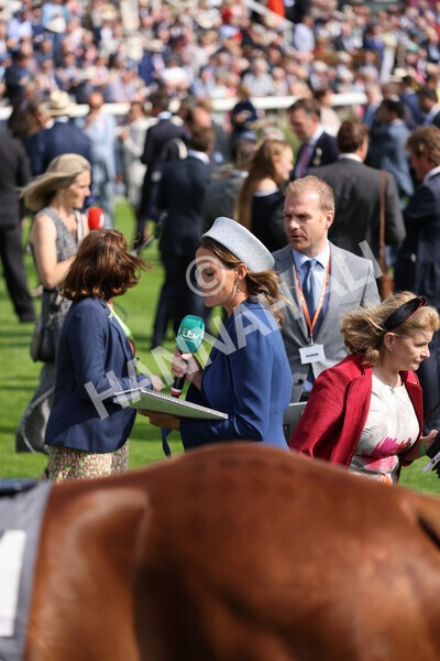 yr18082021r4-25 - Race 4 3.35pm Juddmonte International Stakes (British Champion Series race)