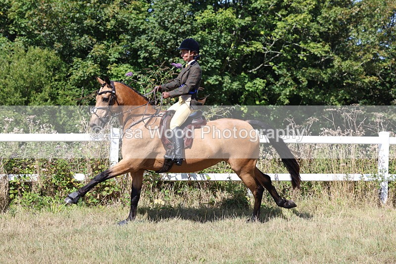 3E7A6434 - Working Hunter Championship