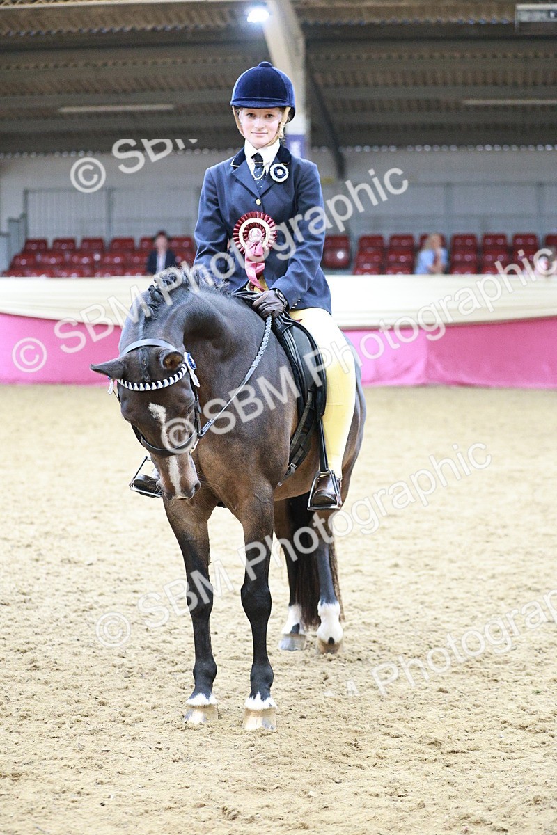 SBM_08382 - Class 11R - Regional Ridden Veteran