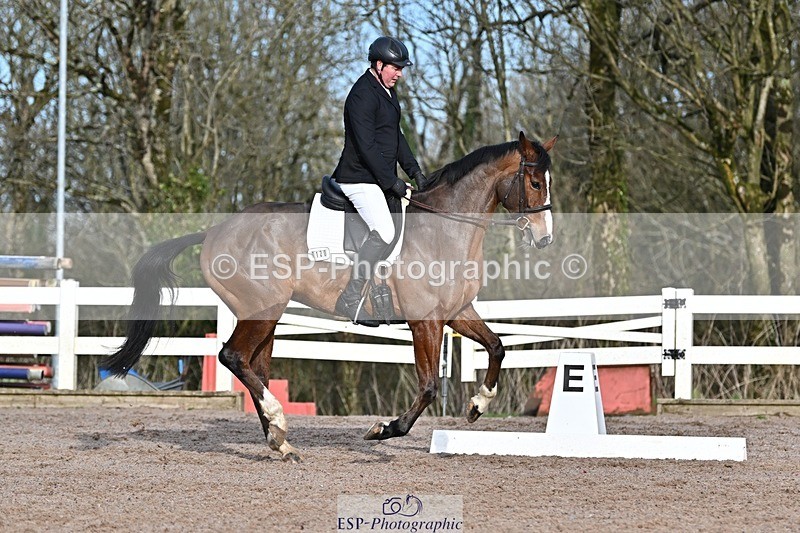 250125-110917-00274 - Dressage - CT Class 5 BE95 (90cm)