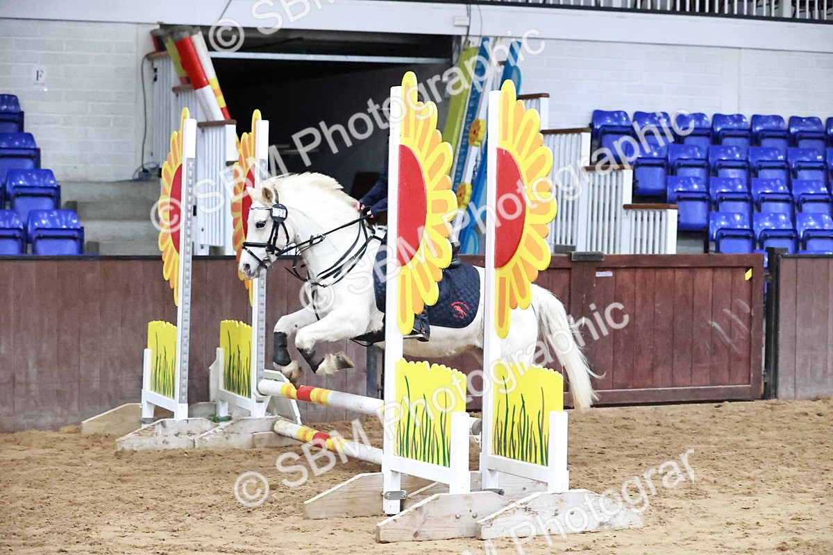 SBM_000527 - Class 2 - Show Jumping 50cm