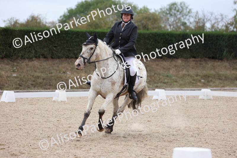 20250820-0300 - Class 9 - My Quest Prelim 3