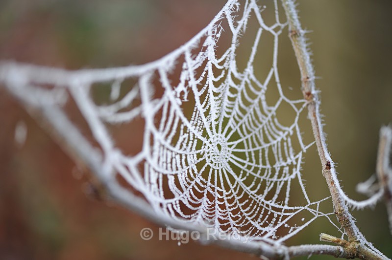  - Macro