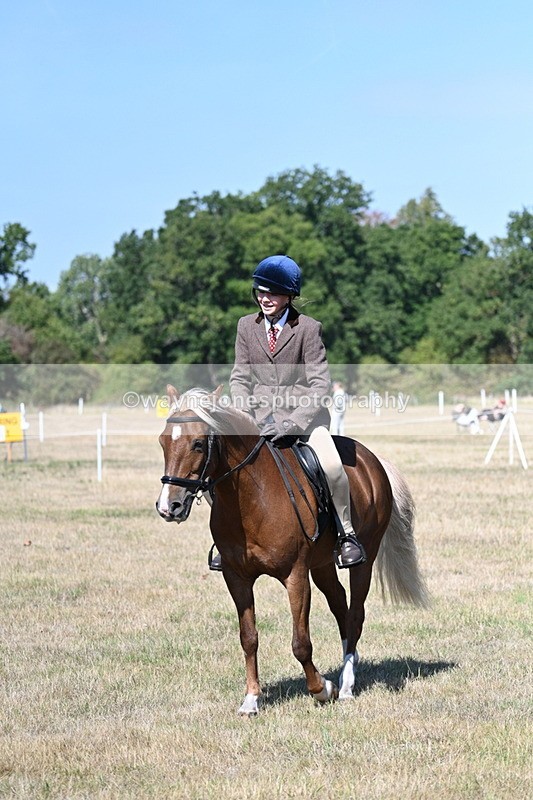 WJ7_4026 - Class 9 Mountain & Moorland Ridden