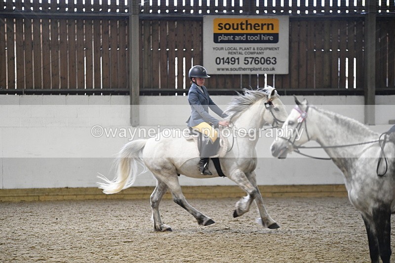 WJ5_7930 - Class 13 Ridden Part Breed