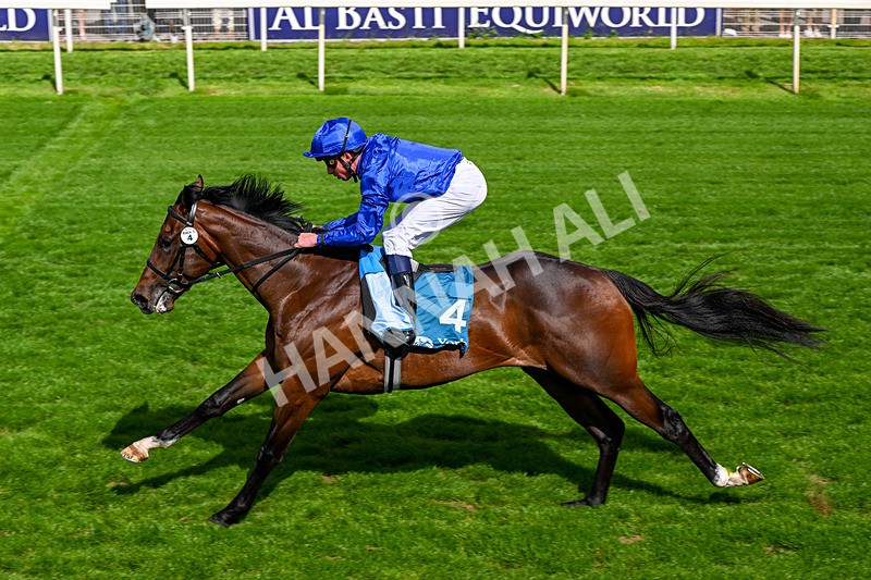 130626-Race 5-Inner City Blues-1804 - Race 5 16.15pm Tomahawk Restaurants Supporting Macmillan EBF Maiden Stakes