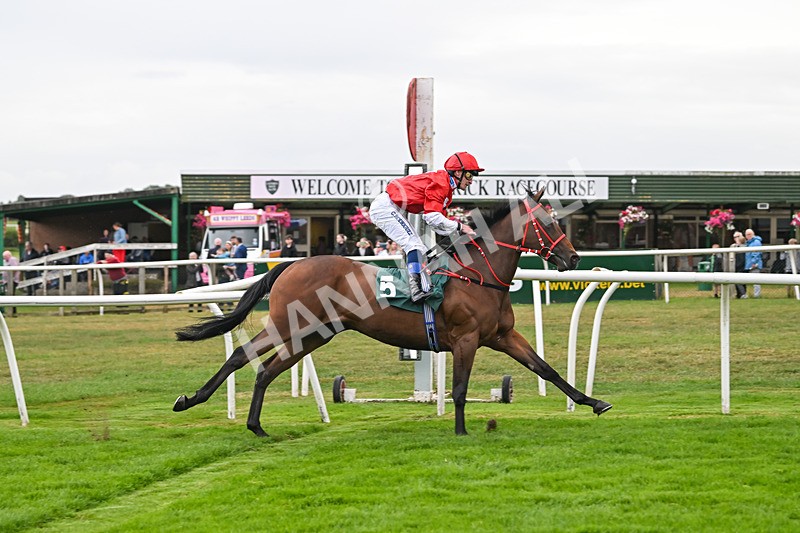 270825-Race 2-Rogue Attraction-4872 - Race 2