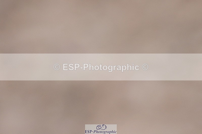 240223A-084246-00008 - Cls 2 British Novice and 90cm Open