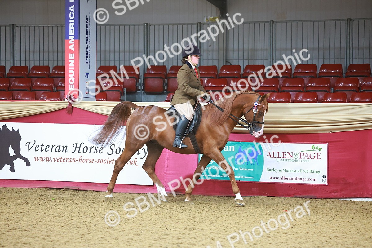 SBM_07583 - Class 101 - HOYS Veteran Qualifier - Ridden Diamond