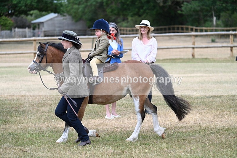WJ7_9810 - Class 1 Lead Rein Pony