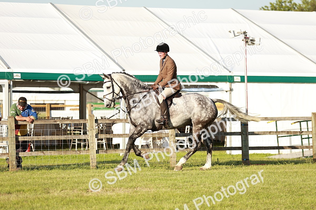 SBM_20473 - Class 117-119 - Sport Horse Working Hunter
