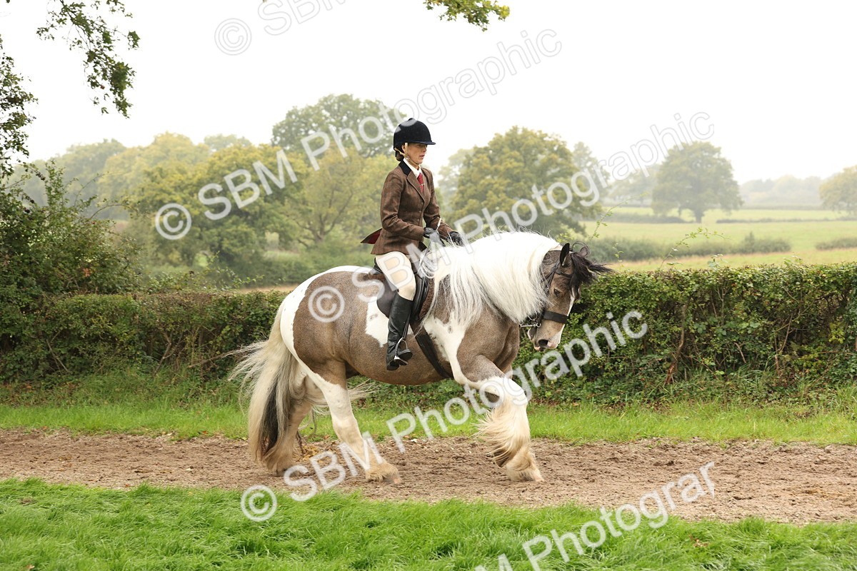 SBM_72713 - S70 - Traditional Cob Ridden