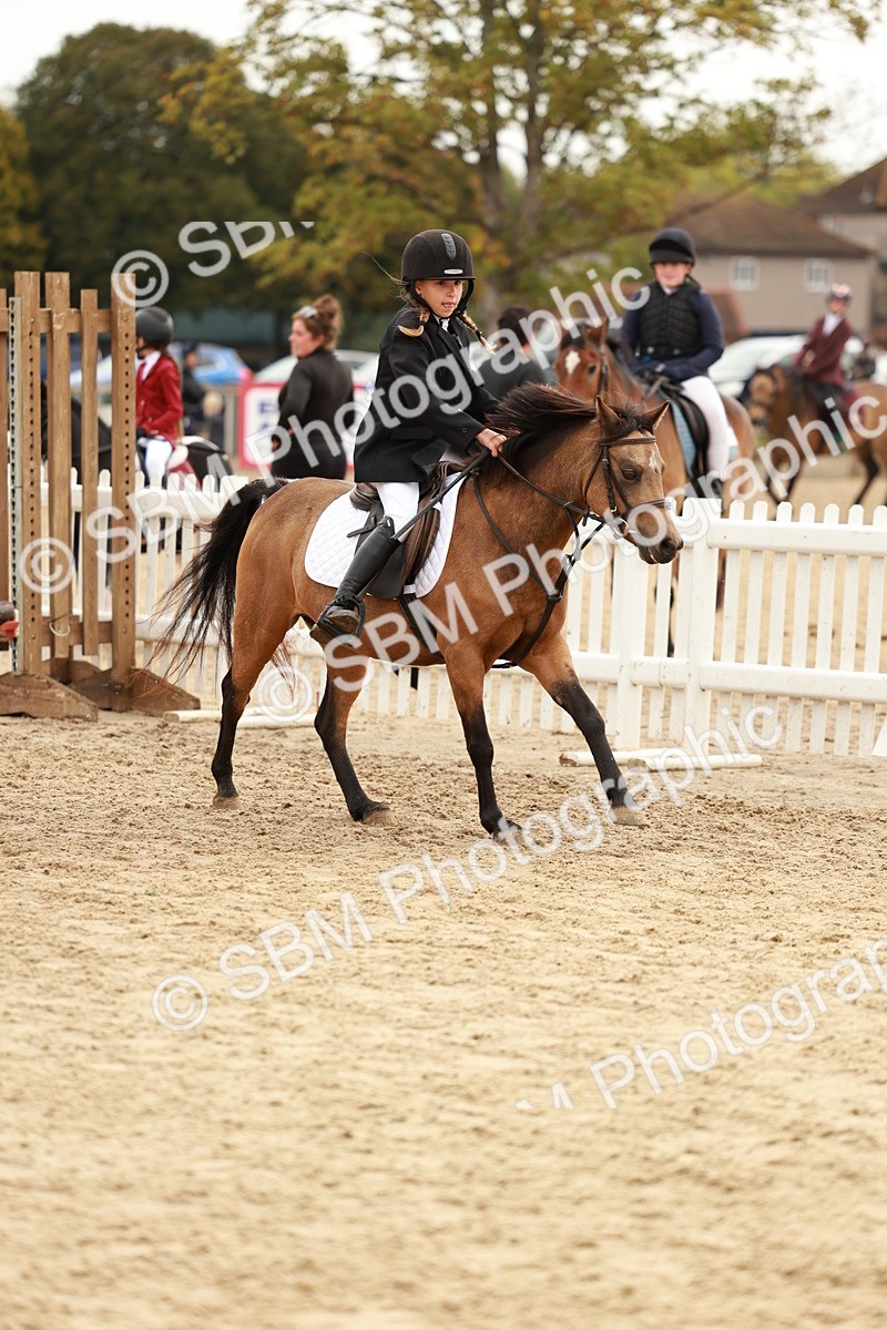 SBM_57830 - J11 - Junior Pony 50cm Championship