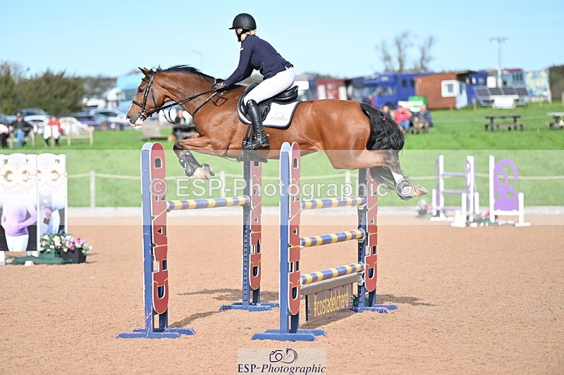 231015A-141206-08530 - Cls 31 Blue Chip Grade B & C Champ Quali