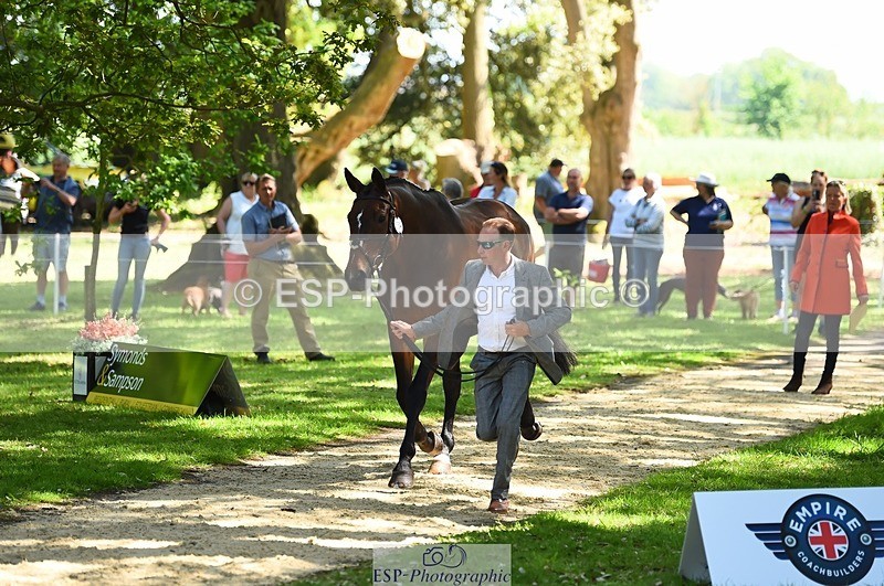 230524-151144-00116 - 354-TREWORDER-Michael_Owen-WEDTrotUp+DR