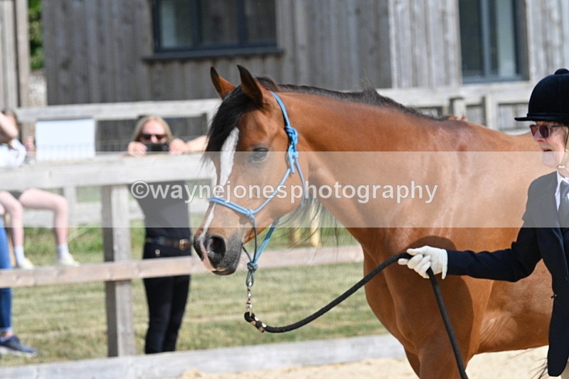 WJ7_8265 - Time 16:10 to 16:25