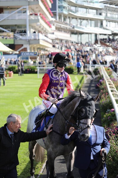 yr08102022r3-21 - Race 3 2.40pm The Coral 'Beaten-by-a-Length' Free Bet Handicap