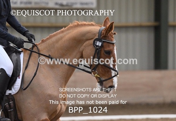 BPP_1024 - 13 / 14 - H BROADHURST