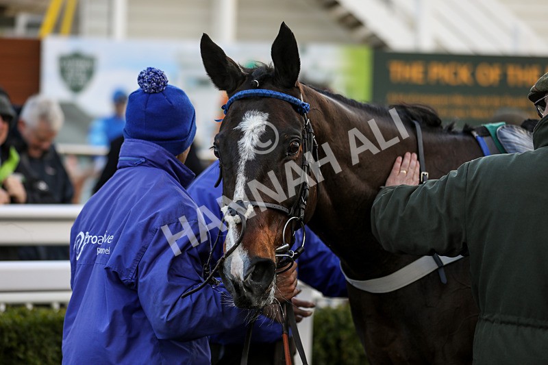 281223-Race 3-Guillaume-3342 - Race 3