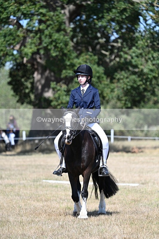 WJ7_0236 - Time 11:03 to 11:28